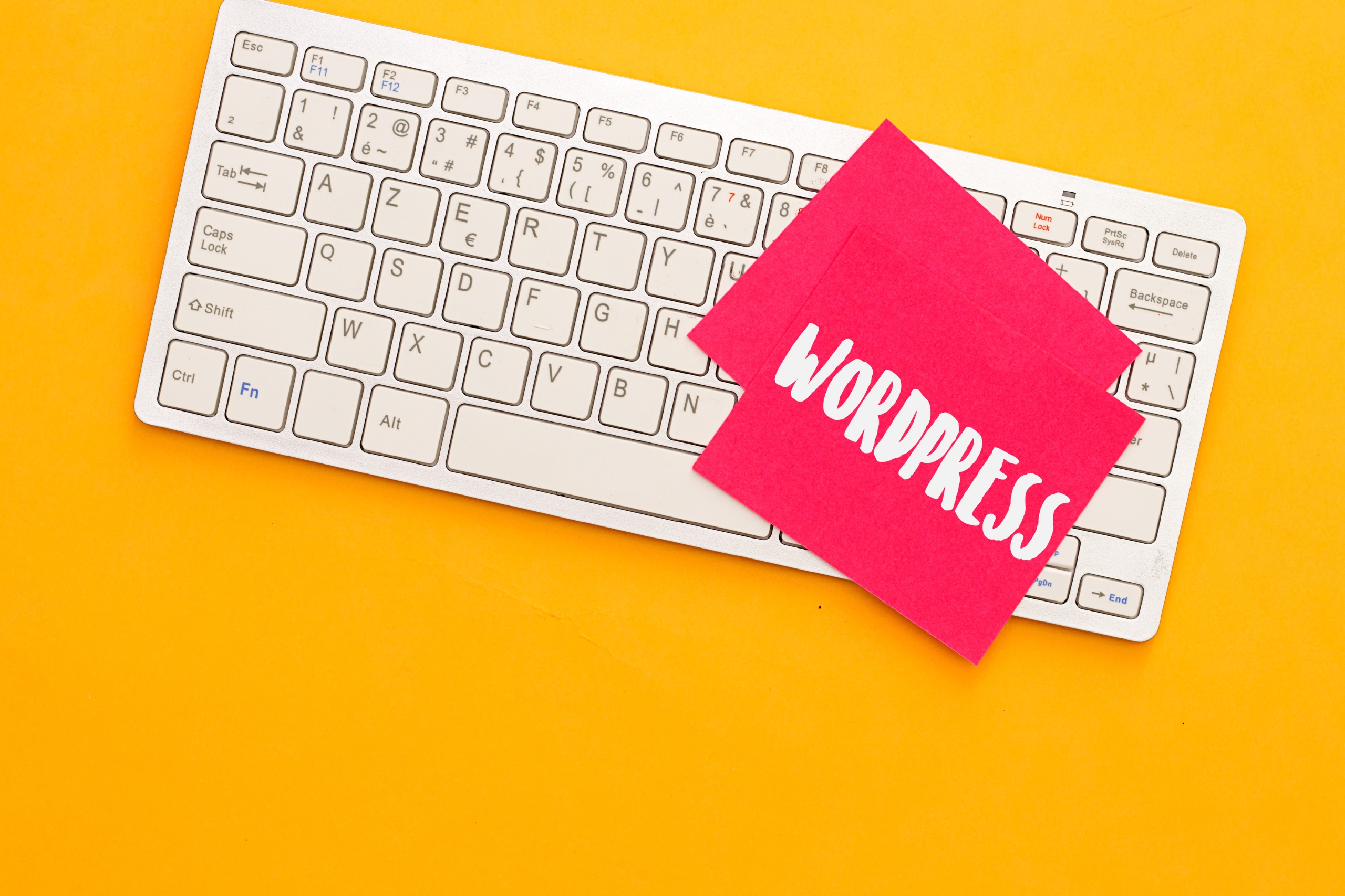 How To Locate A WordPress Internet Developer