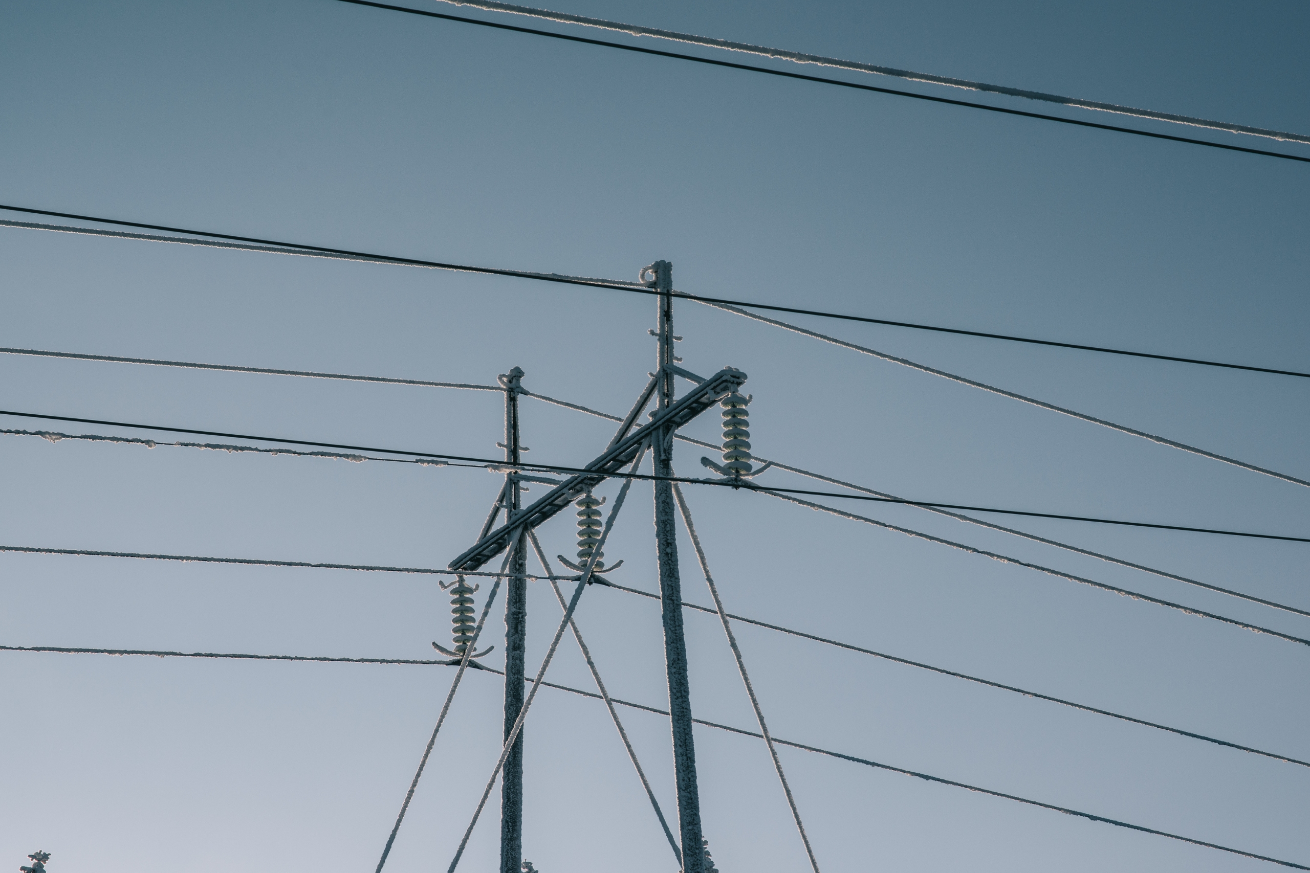 Organization Electricity Comparison Sites