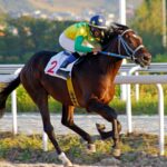 All The Information You Need To Pick A Winning Horse Racing Tip