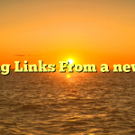 Getting Links From a new PBN