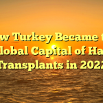 How Turkey Became the Global Capital of Hair Transplants in 2022