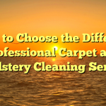How to Choose the Different Professional Carpet and Upholstery Cleaning Services