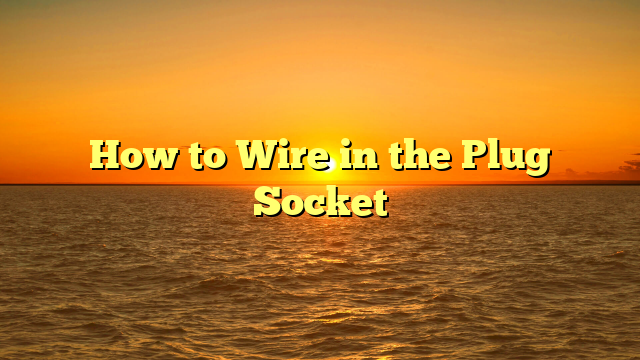 How to Wire in the Plug Socket
