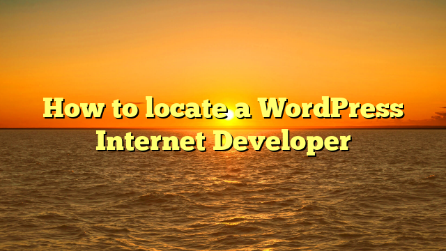 How to locate a WordPress Internet Developer