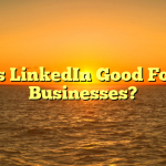 Is LinkedIn Good For Businesses?