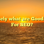 Precisely what are Good Links For SEO?
