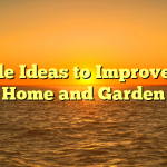 Simple Ideas to Improve Your Home and Garden