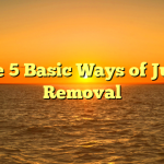 The 5 Basic Ways of Junk Removal