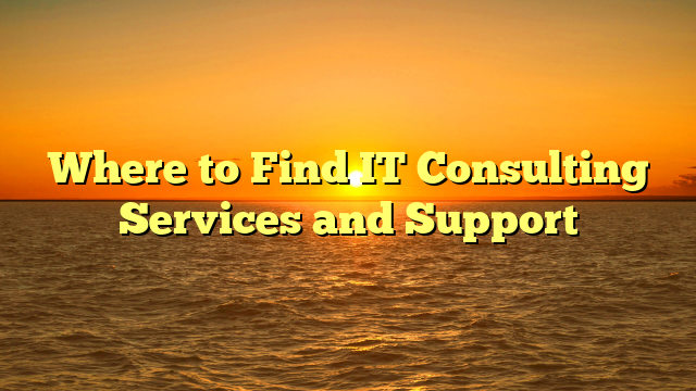 Where to Find IT Consulting Services and Support