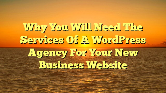 Why You Will Need The Services Of A WordPress Agency For Your New Business Website