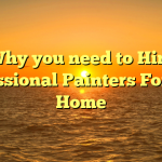 Why you need to Hire Professional Painters For Your Home
