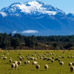 Famous Movie Filming Locations to Visit Travel Destinations from Popular Films